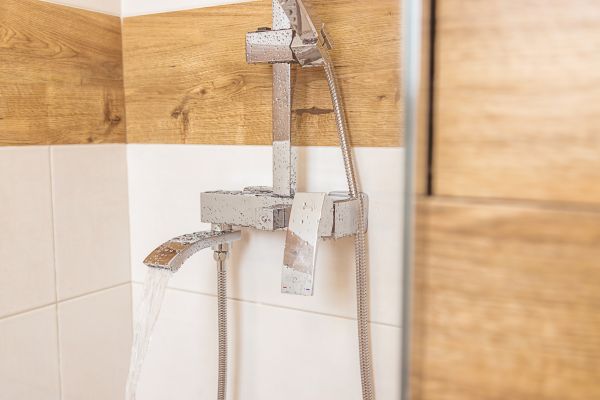 Cost of Shower Plumbing Installation in Eagle